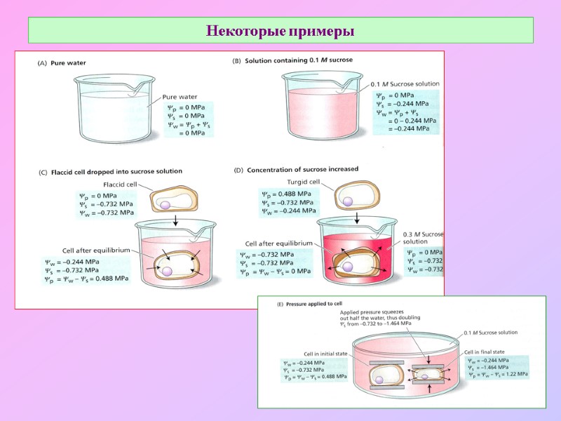 Некоторые примеры